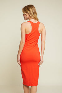 DX5737_CherryTomato_2596372