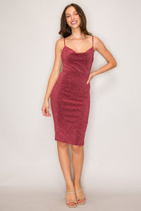DX70173_Cranberry_4742710